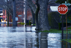 El Tributo Mortal: Inundaciones ‘Dramáticas’ en Europa Central Aumentan el Número de Víctimas